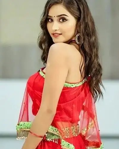 Escort In Sikar